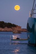 Lagoon EIGHTY2