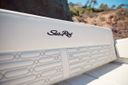 Sea Ray SPX 210 Outboard Sea Ray