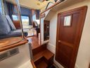 Hardy 27 -