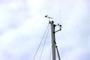 Dehler Optima 98 -