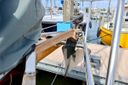 Colin Archer Polar 34 Narwhal