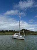 Dehler 37 Linjer