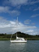 Dehler 37 Linjer