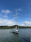 Dehler 37 Linjer