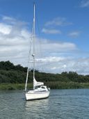 Dehler 37 Linjer