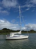 Dehler 37 Linjer