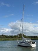 Dehler 37 Linjer