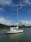 Dehler 37 Linjer