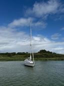 Dehler 37 Linjer