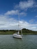 Dehler 37 Linjer