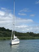 Dehler 37 Linjer