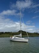 Dehler 37 Linjer