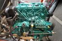 Trintella 38 -