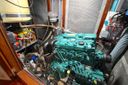 Trintella 38 -