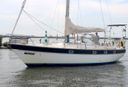 Trintella 38 -