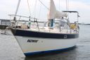 Trintella 38 -