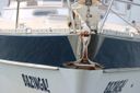 Trintella 38 -