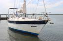 Trintella 38 -