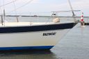 Trintella 38 -