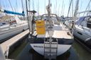 Trintella 38 -