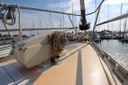 Trintella 38 -