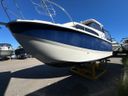 Bayliner 246 Discovery -