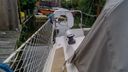Dehler DEHLER 28 S Top
