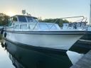 Apollo 32 TT de Luxe AK Sydney