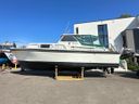 Apollo 32 TT de Luxe AK Sydney