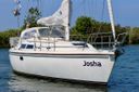 Catalina 36