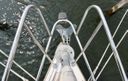 Catalina 36