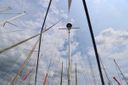 Catalina 36