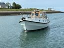Rogger FD2 Rhea