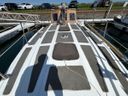 Rogger FD2 Rhea
