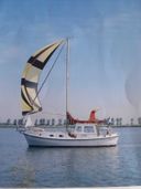 Rogger FD2 Rhea