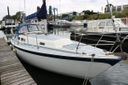 Cal 31 Woodstock