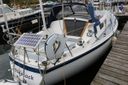 Cal 31 Woodstock
