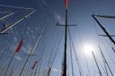 Koopmans 36 -