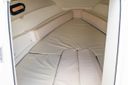 Sea Ray Sun Sport 250 Honey Bee