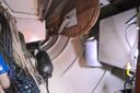 Koopmans 39 -