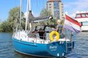 Koopmans 39 -