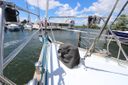 Koopmans 39 -