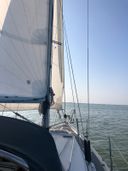 Bavaria 890 Tranquilizer