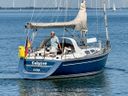 Comfortina 38 Calypso