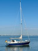 Comfortina 38 Calypso