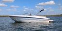 Bayliner 219 SD -