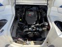 Bayliner 219 SD -