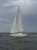 Bavaria 36-3 Zilverzand