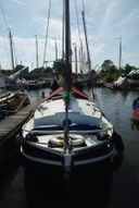 Baarda Grundel De Vreemde Vogel