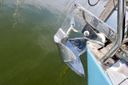 Spirit 37 -